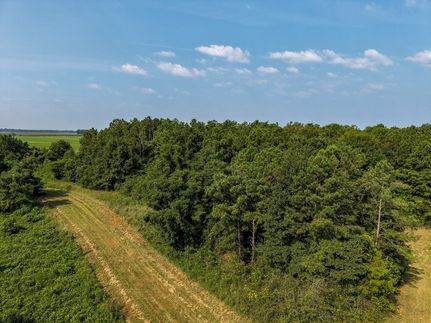 Land for sale in Taylor County, Georgia