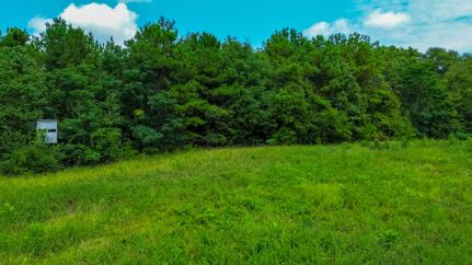 Land for sale in Stewart County, Georgia