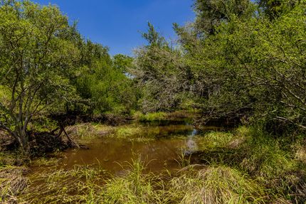Undeveloped Land for sale in Medina County, Texas