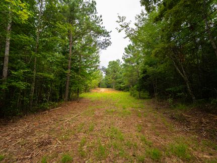 Land for sale in Colbert County, Alabama