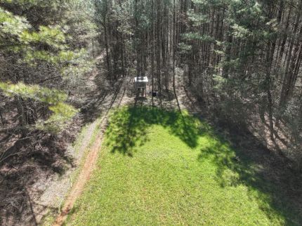 Land for sale in Walker County, Alabama