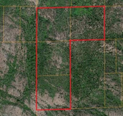 Undeveloped Land for sale in Okanogan County, Washington