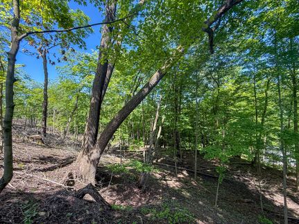 Farm and Ranch for sale in Jefferson County, Ohio