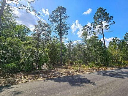 Land for sale in Pierce County, Georgia