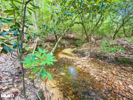 Land for sale in Choctaw County, Alabama