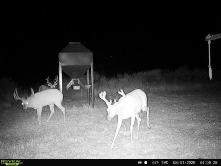 Land for sale in Pratt County, Kansas