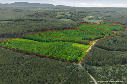 Undeveloped Land for sale in Pittsylvania County, Virginia