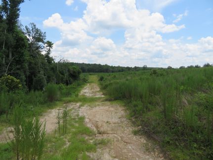 Recreational Property for sale in Pike County, Alabama