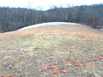 Undeveloped Land for sale in Monroe County, Ohio