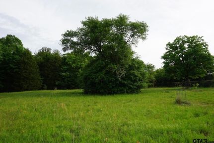 Undeveloped Land for sale in Henderson County, Texas
