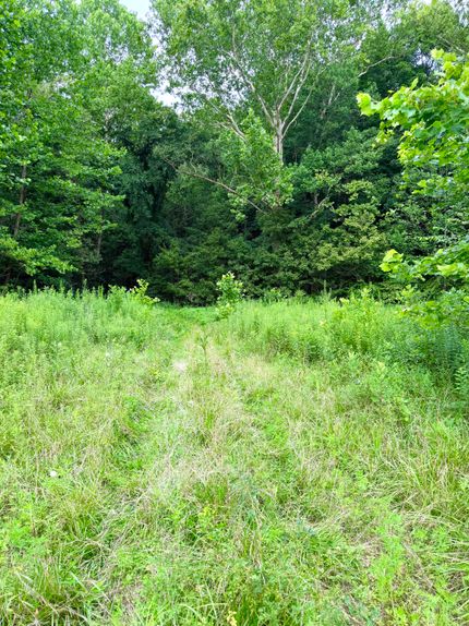 Timberland Property for sale in Adams County, Ohio