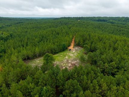 Undeveloped Land for sale in Chilton County, Alabama