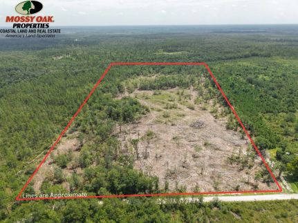 Land for sale in Ware County, Georgia