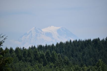 Land for sale in Thurston County, Washington