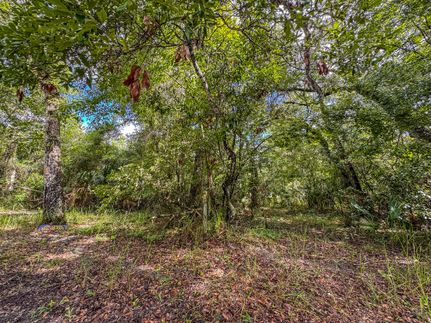 Land for sale in Hernando County, Florida