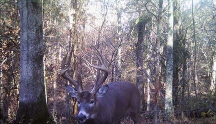 Land for sale in Mercer County, Kentucky