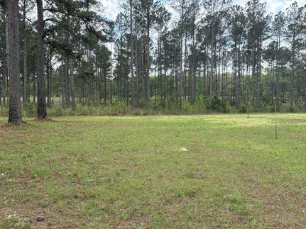 Land for sale in Wilkinson County, Georgia