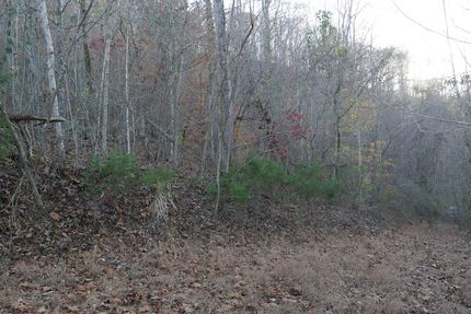Land for sale in Scott County, Virginia