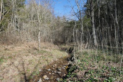 Land for sale in Lee County, Virginia