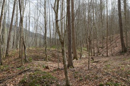 Farm and Ranch for sale in Lee County, Virginia