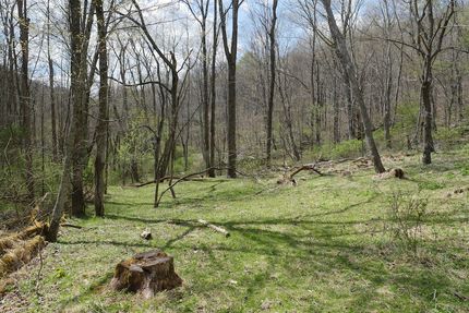 Land for sale in Tazewell County, Virginia