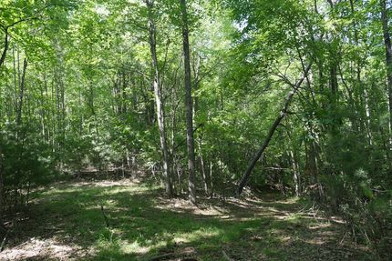 Recreational Property for sale in Carroll County, Virginia