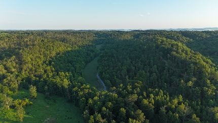 Farm and Ranch for sale in Taylor County, Kentucky