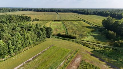 Farm and Ranch for sale in Pamlico County, North Carolina