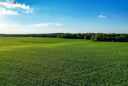 Land for sale in Davis County, Iowa