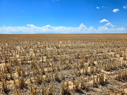 Land for sale in Washington County, Colorado