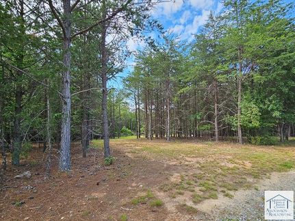 Recreational Property for sale in Henry County, Virginia