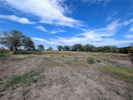 Undeveloped Land for sale in Nueces County, Texas