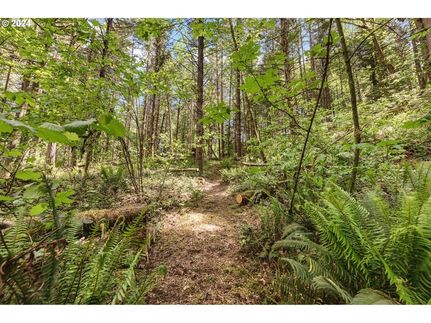 Land for sale in Lane County, Oregon