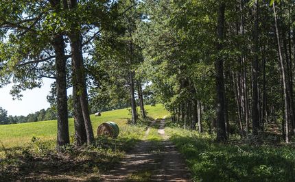 Land for sale in Wright County, Missouri