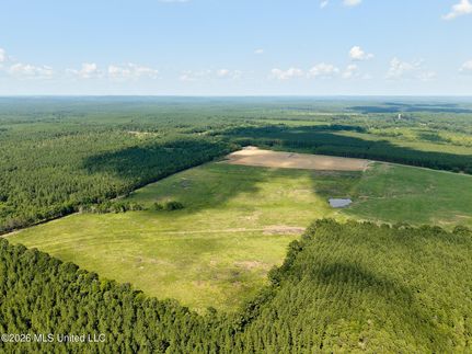Land for sale in Jasper County, Mississippi