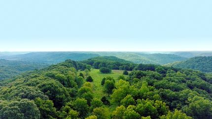 Farm and Ranch for sale in Christian County, Missouri