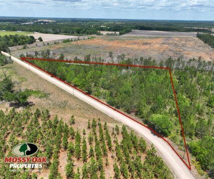 Undeveloped Land for sale in Appling County, Georgia