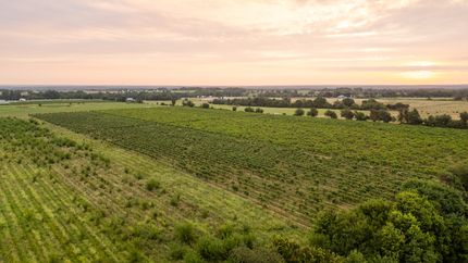 Land for sale in Lawrence County, Missouri
