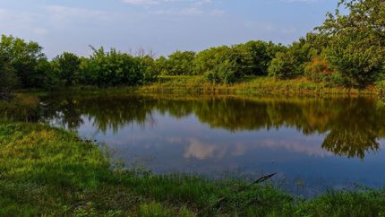 Land for sale in Stephens County, Texas