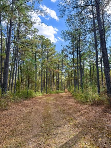 Land for sale in Chambers County, Alabama