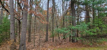 Land for sale in Sullivan County, New York