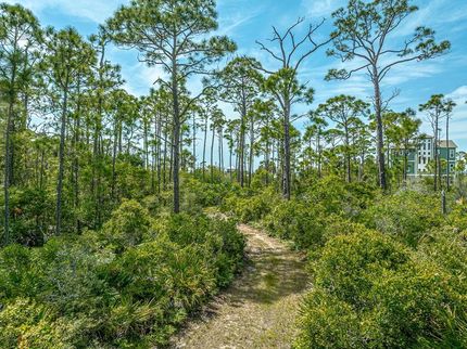 Land for sale in Franklin County, Florida