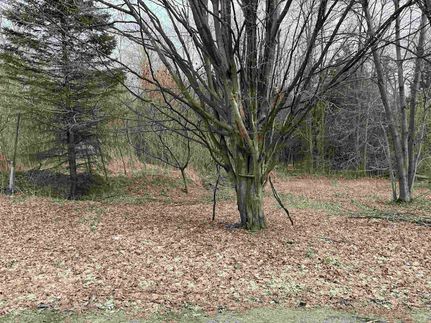 Land for sale in Grand Isle County, Vermont