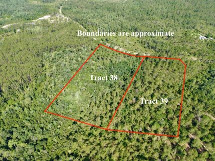 Undeveloped Land for sale in Madison County, Florida