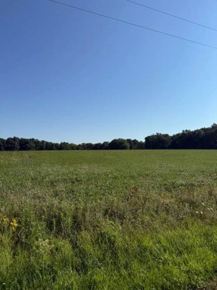 Land for sale in Fayette County, Illinois