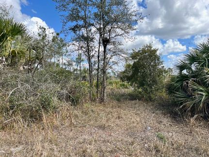 Farm and Ranch for sale in Levy County, Florida