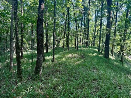 Land for sale in Grenada County, Mississippi