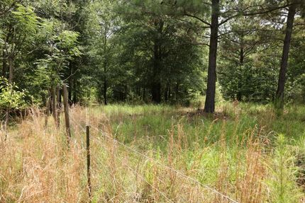 Land for sale in Warren County, Georgia