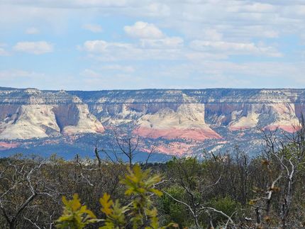 Undeveloped Land for sale in Kane County, Utah