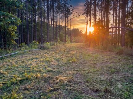 Land for sale in Benton County, Tennessee
